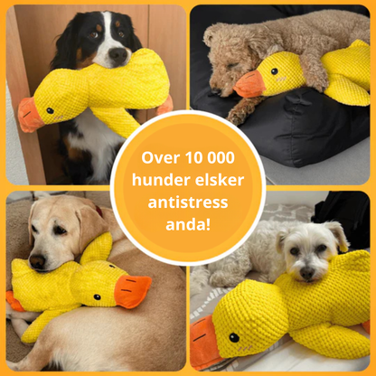 BarkDuck – Antistressanden