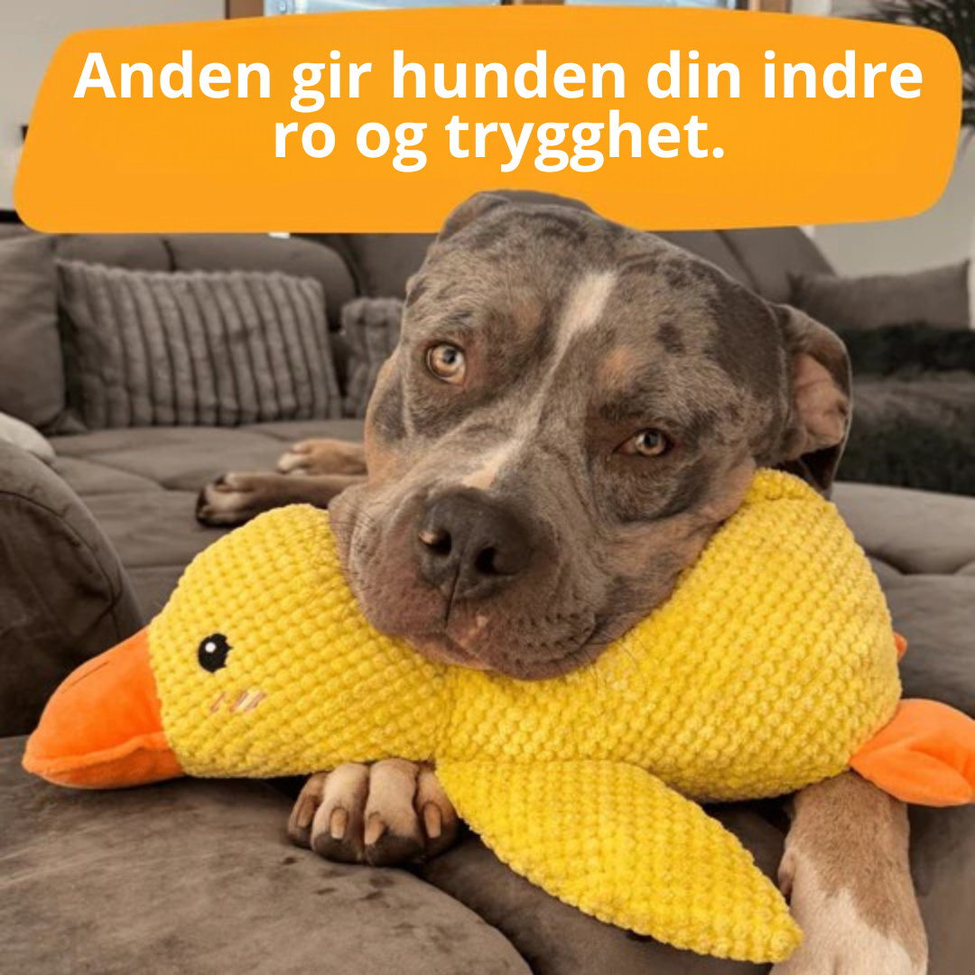 BarkDuck – Antistressanden