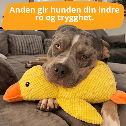 BarkDuck – Antistressanden