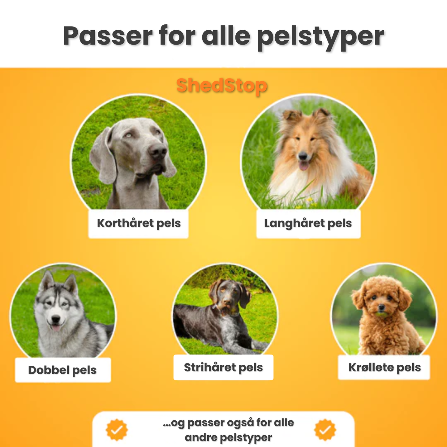ShedStop – Profesjonell pelspleie hjemme 🐾